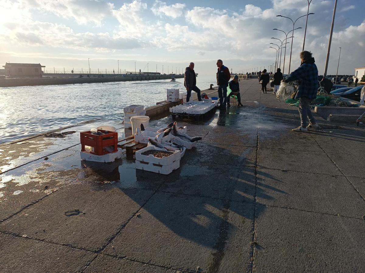 Summer&Winter Home By The Sea Fiumicino Esterno foto